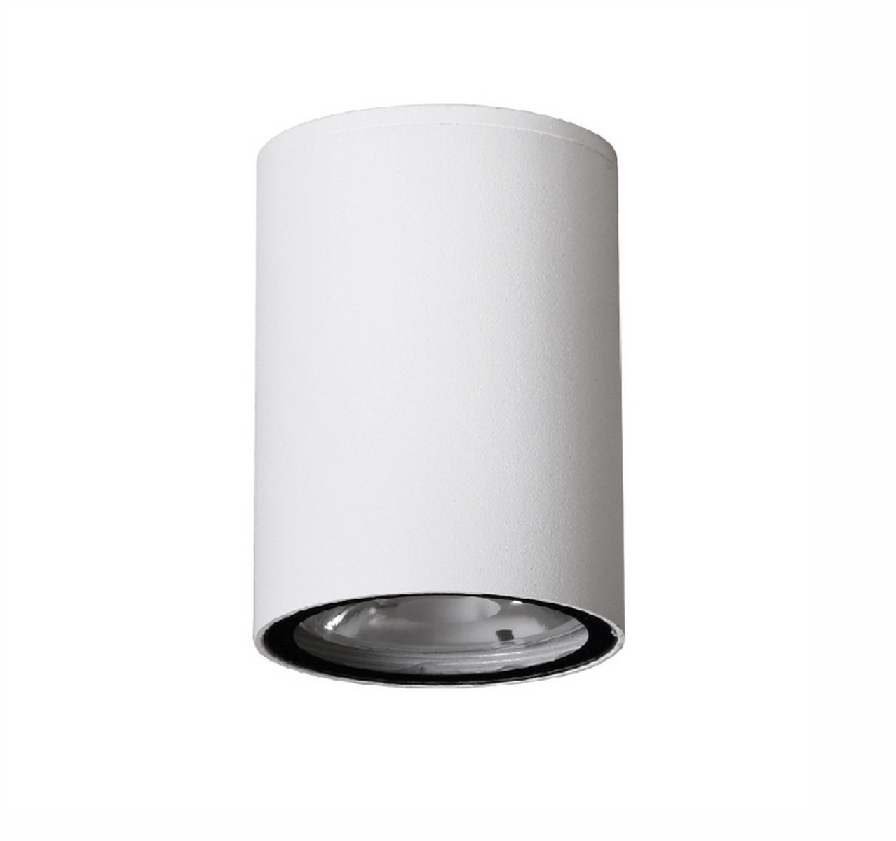 Luces Exclusivas SARAVENA LE71417 LAMPA ZEWNĘTRZNA SUFITOWA biały