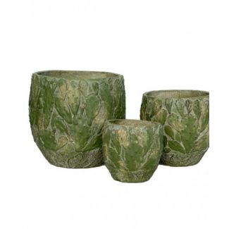 HOME DECORATION 99119 DONICE CACTUS SET 3 GREEN- MROZOODPORNA ID-1251