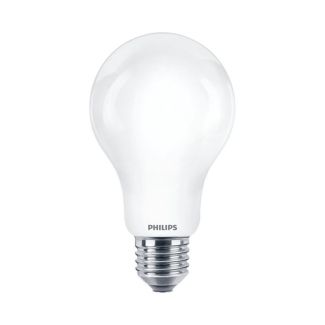 MILAGRO EKZPH616 Żarówka LED E27 17,5W 6500K A67