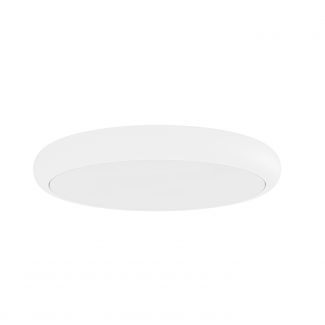 OPEN DESIGN OR86225 Piatto Bianco 80 CCT