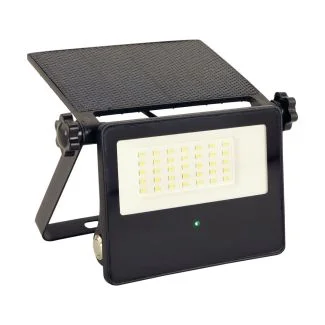 IDEUS 04459 SANTOR LED 10W CW Naświetlacz SMD LED z czujnikiem ruchu