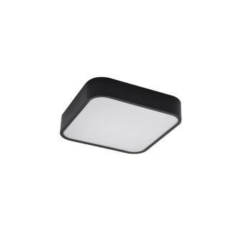 AZZARDO AZ4146 LUCIE 25 BK TECHNICAL TOP BLACK / WHITE