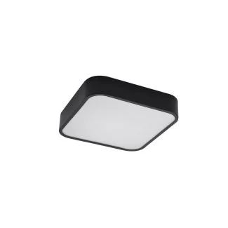 AZZARDO AZ4146 LUCIE 25 BK TECHNICAL TOP BLACK / WHITE