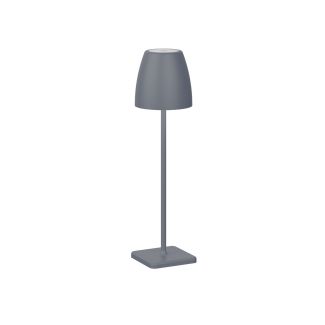 Luces Exclusivas AGUITA LE73553 LAMPA ZEWNETRZNA szary