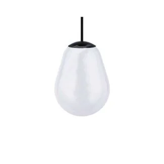 NOWODVORSKI LIGHTING 10331 CAMELEON PEAR S transparentny