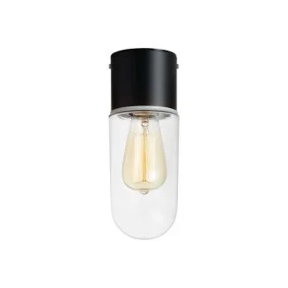 MARKSLOJD 107796 ZEN lampa sufitowa 1L Black/Clear IP44