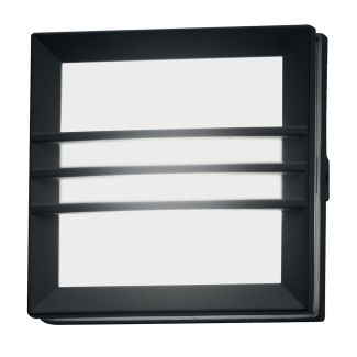ELSTEAD Egil EGIL-2W 1 Light Wall/Ceiling Lantern