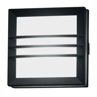 ELSTEAD Egil EGIL-2W 1 Light Wall/Ceiling Lantern