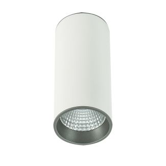 ITALUX Moldes Big WH/GR Ceiling SLC7392/12W 4000K WH+GR