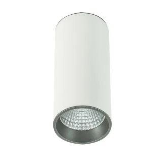 ITALUX Moldes Big WH/GR Ceiling SLC7392/12W 4000K WH+GR