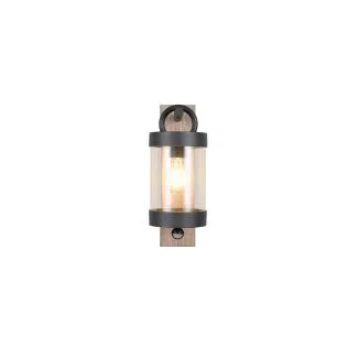 TRIO SAMBESI 204169135 lampa zewnętrzna ścienna