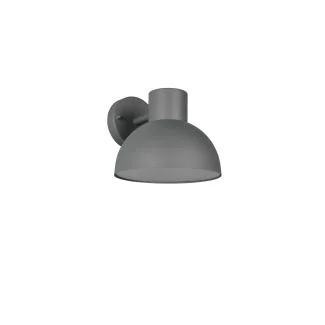 TRIO ELBE 262360142 lampa zewnętrzna ścienna
