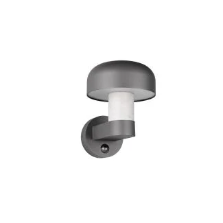 TRIO FRASER 262569178 lampa zewnętrzna ścienna