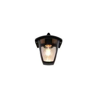 TRIO VENTA 263260132 lampa zewnętrzna ścienna