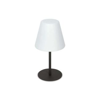 IDEAL LUX 298597 ARCADIA TL1 LAMPA STOŁOWA szary