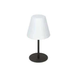 IDEAL LUX 298597 ARCADIA TL1 LAMPA STOŁOWA szary