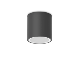 IDEAL LUX 318141 TECHO lampa sufitowa