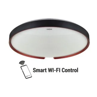 IDEUS 4077 ESPERANTO LED C 48W Plafoniera SMD LED