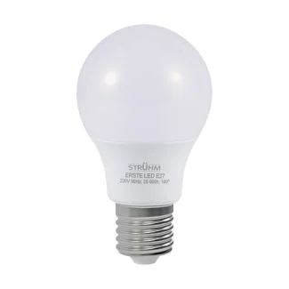 IDEUS 02794 ERSTE LED E27 10W NW żarówka 4100K