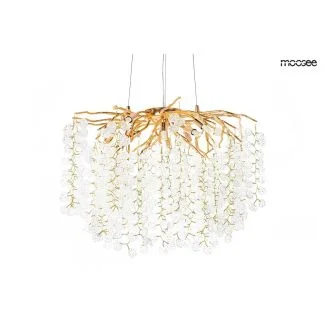 MOOSEE 5900168832954 lampa wisząca RIVIERA 80 złota / clear