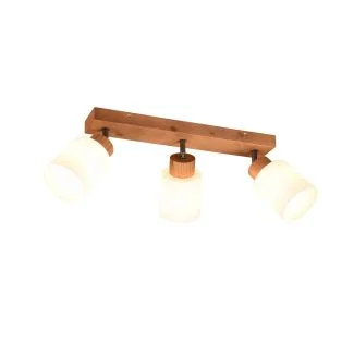 RL R81113030 ASSAM lampa sufitowa reflektor spot