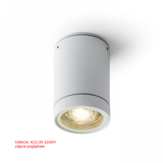 RENDL R13451 SAMMY sufitowa szara 230V LED GU10 15W IP54