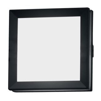 ELSTEAD Egil EGIL-1W 1 Light Wall/Ceiling Lantern