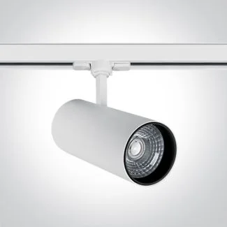 ONE LIGHT 65642CT/W/W Skalitina 3 biały track spot COB LED 3000K 30W