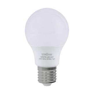 IDEUS 03850 ERSTE LED E27 8W NW żarówka 4100K