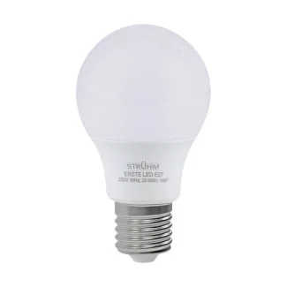 IDEUS 03850 ERSTE LED E27 8W NW żarówka 4100K