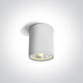 ONE LIGHT 67132C/W Stromi S biały zewnętrzny cylinder sufitowy 75W PAR30 E27