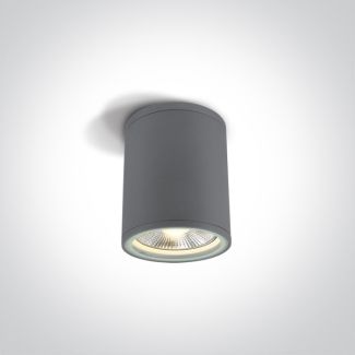 ONE LIGHT 67132C/G Stromi S szary zewnętrzny cylinder sufitowy 75W PAR30 E27