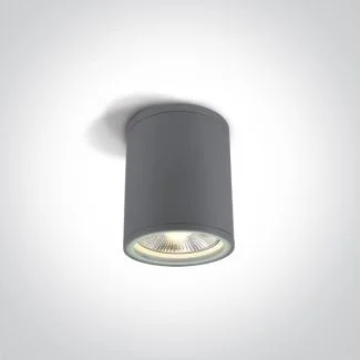 ONE LIGHT 67132C/G Stromi S szary zewnętrzny cylinder sufitowy 75W PAR30 E27