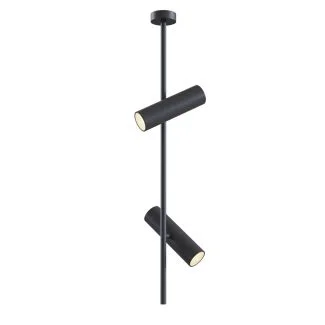 MAYTONI C021CL-02B Ceiling & Wall Elti Ceiling Lamp Black