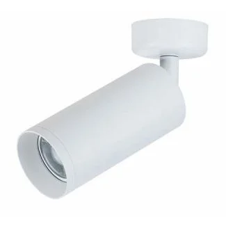 MAYTONI C017CW-01W Ceiling & Wall Focus Ceiling Lamp White