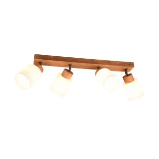 RL R81114030 ASSAM lampa sufitowa reflektor spot