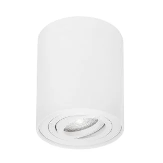 Luces Exclusivas CARRIZAL LE61427 LAMPA SUFITOWA biały