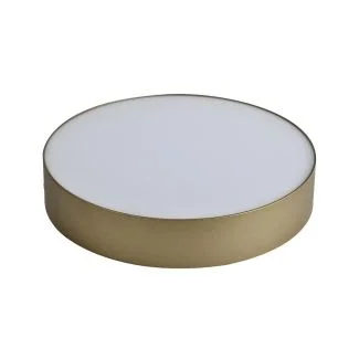 AZZARDO AZ4762 MONZA R 40 CCT + REMOTE CONTROL (CHA) TECHNICAL EXPOSED DOWNLIGHT CHAMPAGNE