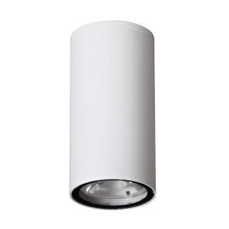 Luces Exclusivas SARAVENA LE71418 LAMPA ZEWNĘTRZNA SUFITOWA biały