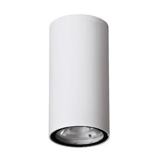 Luces Exclusivas SARAVENA LE71418 LAMPA ZEWNĘTRZNA SUFITOWA biały