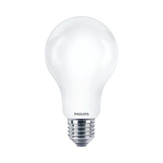 MILAGRO EKZPH054 Żarówka LED E27 13W 2700K A67 (2szt)