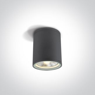 ONE LIGHT 67132C/AN Stromi S zewnętrzny cylinder sufitowy antracyt 75W PAR30 E27