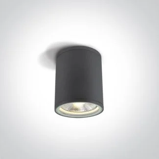 ONE LIGHT 67132C/AN Stromi S zewnętrzny cylinder sufitowy antracyt 75W PAR30 E27