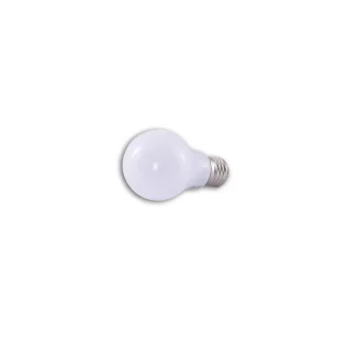 AZZARDO AZ1639 AZZARDO LED 10W E27 LL127101 żarówka biały