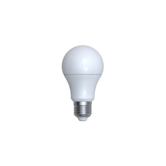 AZZARDO AZ5423 LED BULB E27 BLUETOOTH 9W CCT DIMM WH żarówka biały