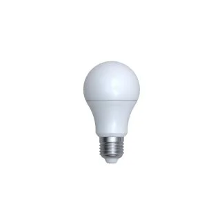 AZZARDO AZ5423 LED BULB E27 BLUETOOTH 9W CCT DIMM WH żarówka biały