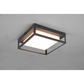 TRIO 677860142 WITHAM lampa zewnętrzna sufitowa