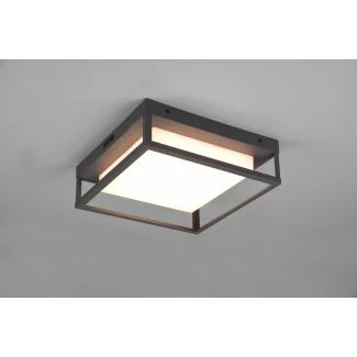 TRIO 677860142 WITHAM lampa zewnętrzna sufitowa