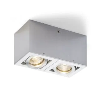 RENDL R10120 BERIT II aluminium 230V GU10 2x50W