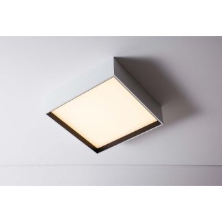 LABRA 3.1253 SOLID Area 4.0 NT Switch/DALI